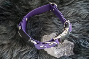 Fi Compatible 1" wide Side-Release Buckle Collar