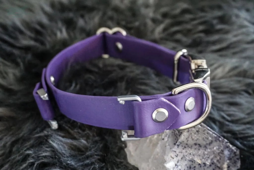Fi Compatible 1" wide Side-Release Buckle Collar
