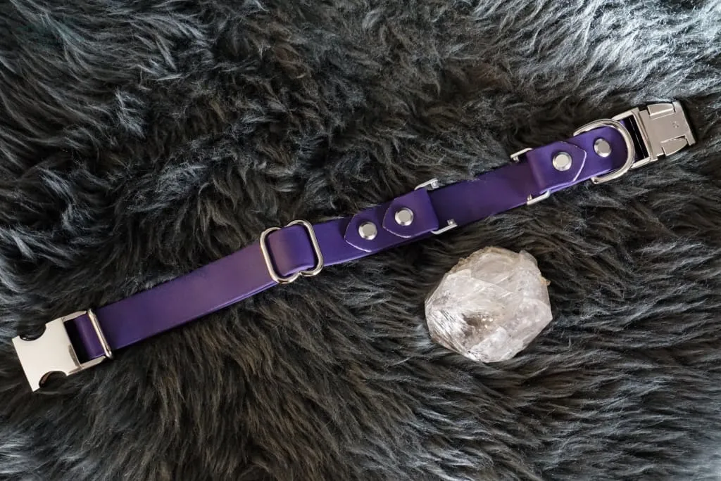 Fi Compatible 1" wide Side-Release Buckle Collar