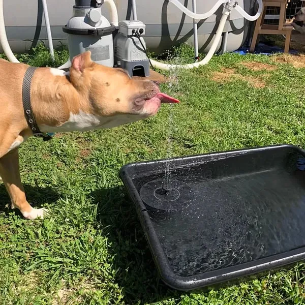 HOT SALE 50% OFF Solar Powered Fountain
