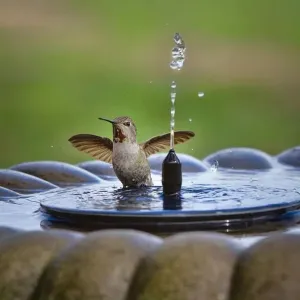 HOT SALE 50% OFF Solar Powered Fountain