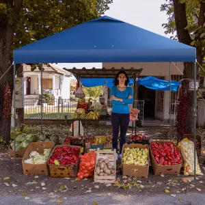 NNECW 3m x 3m Height-Adjustable &amp Tiltable Pop-up Canopy with Carry Bag-Blue