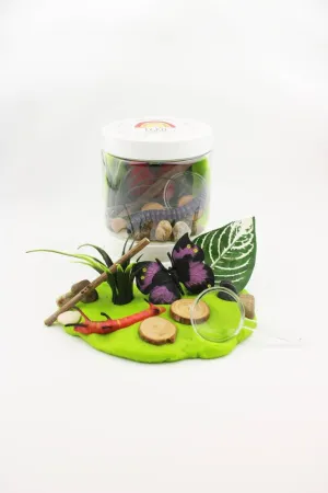 Pte  modeler Exploration des Insectes
