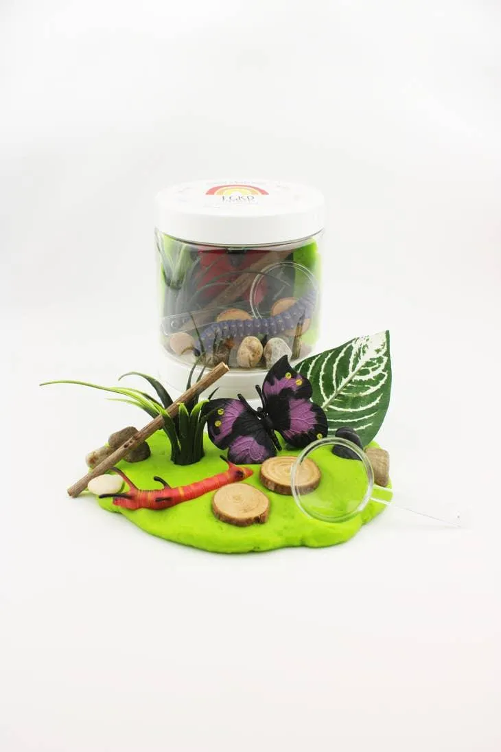 Pte  modeler Exploration des Insectes
